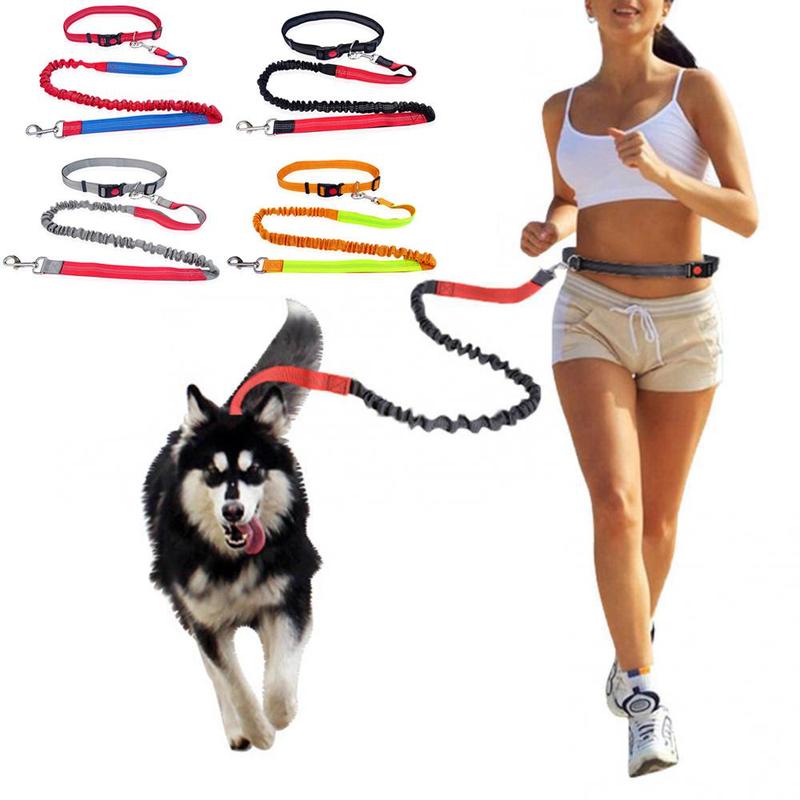 Elastic Nylon Adjustable Dog Leash, Durable Dog Leash, Pet Walking Leash, Dogs Walking Rope, Pets Training Leash, Outdoor Walking Leash for Small Medium Large Dogs 8