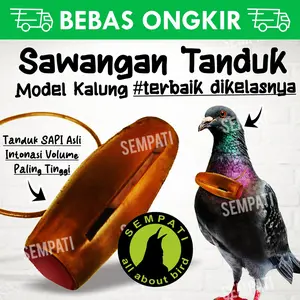 SEMPATI Sawangan Tanduk Sapi Asli Pluit Kalung Merpati Balap Sulingan Sempritan Sulung Siulan Nyaring Hotang Hatong Hontang Tabung Pluit Peluit Lomba Tomprang Kolong Burung Dara Doro Pos