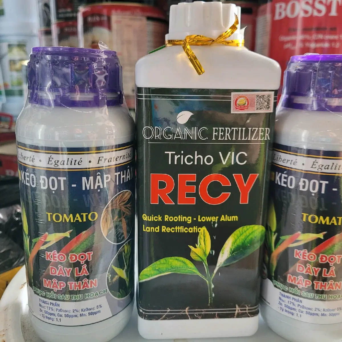 Phân Bón Lá Kéo Đọt RECY Và Kéo Đọt Tomato (800l)