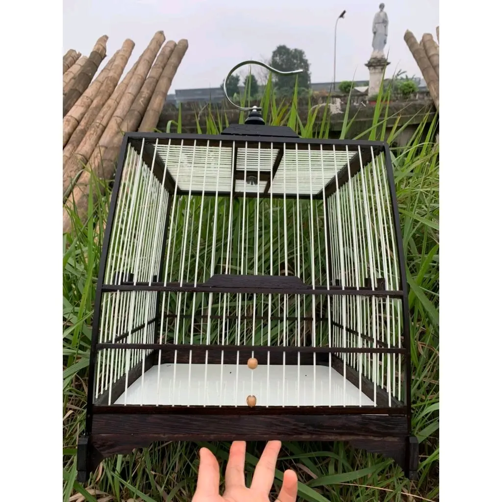 khung lồng chào mào mun đuôi công tự ráp,chất liệu khung gỗ mun đuôi công,cắm nan cáp chắc chắn bền đẹp