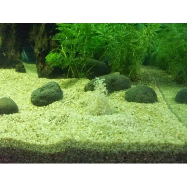 Pasir Bali Aquarium Aquascape Pasir Pantai 1kg 2