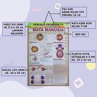 Gambar Poster Anak Bingkai Seri Anatomi : Mata / Mulut Dan Lidah / Organ Tubuh / Otot Manuia / Our Skeleton / Paru Edukasi Paper Stationery / Pustaka Baru Press - PB - 7K MATA MANUSIA dari Pustaka Baru Press Kab. Bantul 3 Tokopedia