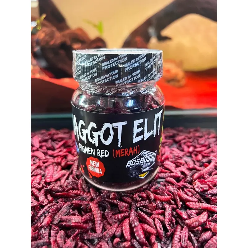 MAGGOT ELIT, UDANG ELIT, MAGGOT RED BOS BOS QU ORIGINAL 2