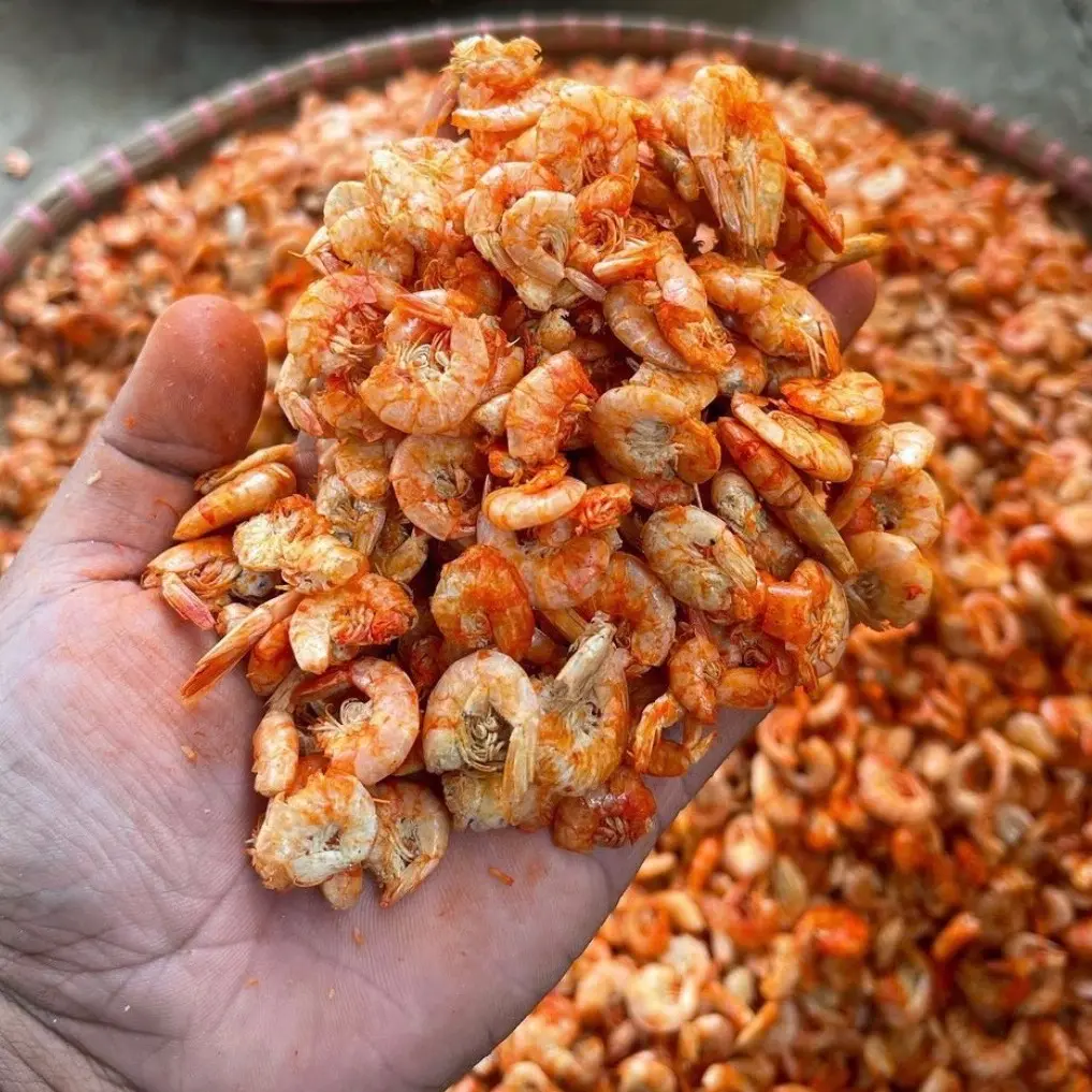 Ebi Kulit Tanpa Kepala 1kg / Ebi Kulit Super Kering Full Pak Pak Pak Pak Bebas gula Bebas gula Bebas gula Alami Bebas Susu Bebas Susu Food Udang Masakan Snack Cemilan Makanan Pedas Kerupuk