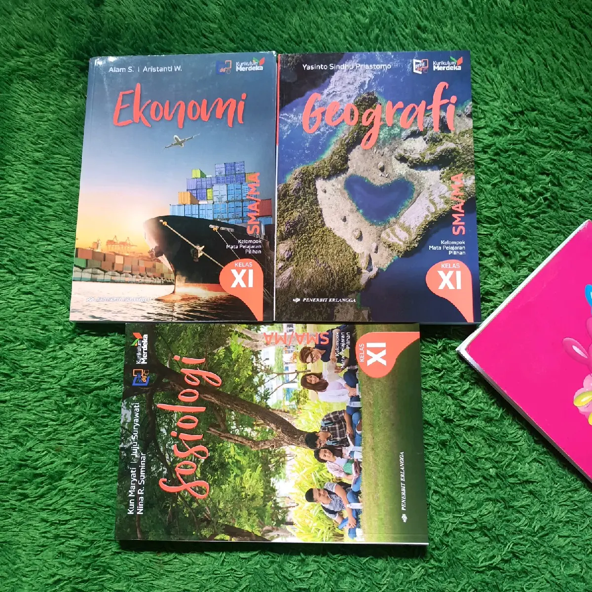 ORIGINAL BUKU GEOGRAFI EKONOMI SOSIOLOGI KELAS 11 SMA KURIKULUM MERDEKA