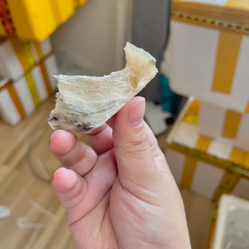 TỔ YẾN - Chân tổ yến thô ÍT LÔNG - ĐẸP 25gram tặng táo đỏ, đường, hạt chia, nhíp Food-Thực phẩm bổ sung hỗ trợ sức khoẻ - HỒNG MY YẾN 3