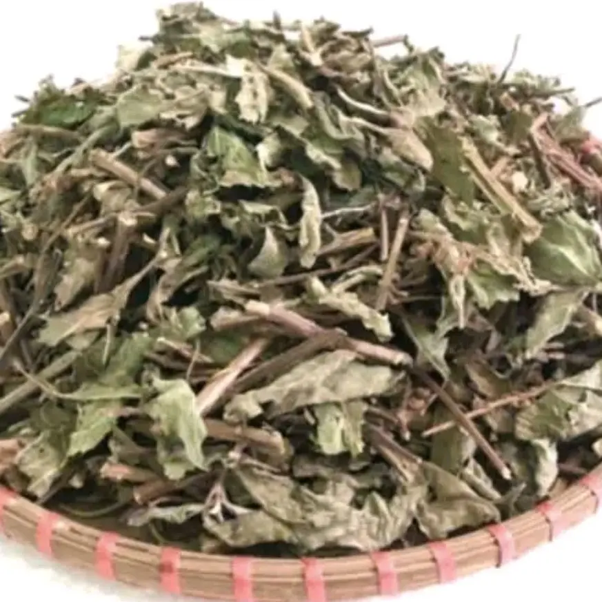 Cây Hương Nhu Phơi Khô BÀI THUỐC CỔ TRUYỀN đun nước tắm gội thải độc cơ thể