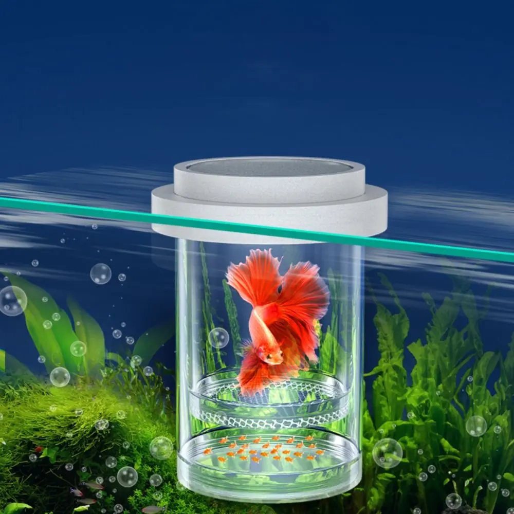Multifunction Single Layer Floating Hatching Box Plastic Fine/Coarse Mesh Fish Breeding Isolation Box White Fish Tank Hatching Incubator Guppy Breeding Box Fish Store