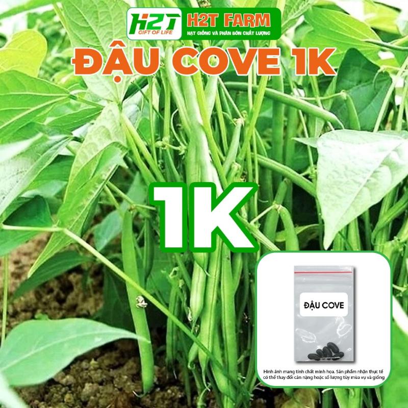 [DEAL 1K] 5 Hạt giống Đậu Cove Bụi Lùn Sinh Trưởng Khỏe, Trồng Quanh Năm(gói chiết nhỏ) - h2t farm 0