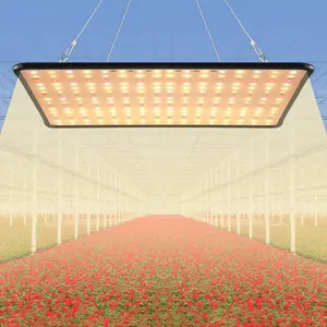 Lampu Tanaman LED Grow Light Natural White Lamp SMD 2835 25W