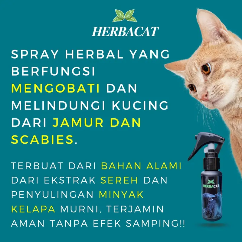 (BISA COD) HerbaCat Spray Obat Anti Jamur dan Scabies Kucing Alami Kesehatan Bulu Kitten fan kucing dan untuk pencegahan penyakit kulit pada kucing 4