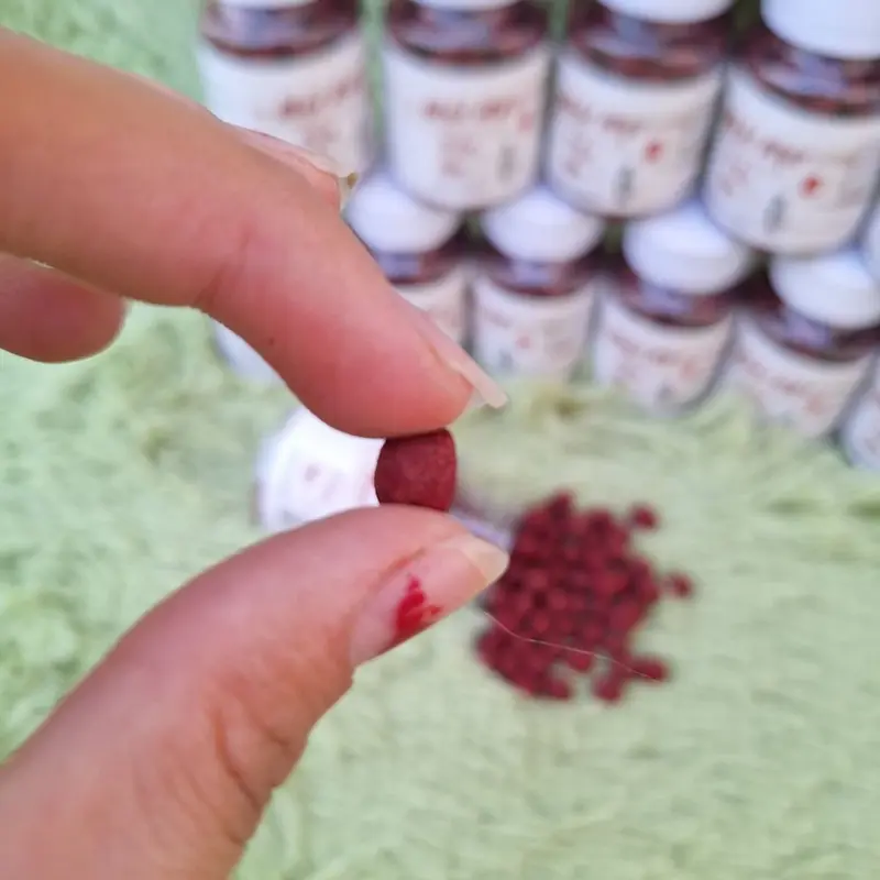 Mồi HẠT câu TRẮM , CHÉP ,TRÔI ,DIẾC ,RÔ PHI  siêu nhạy Bắt Cá 6
