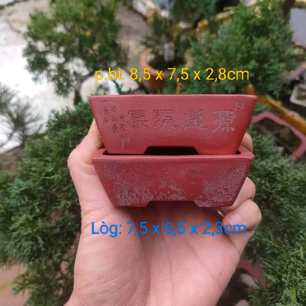 Chậu cát tím điêu khắc thủ công; quặng thô nguyên bản
