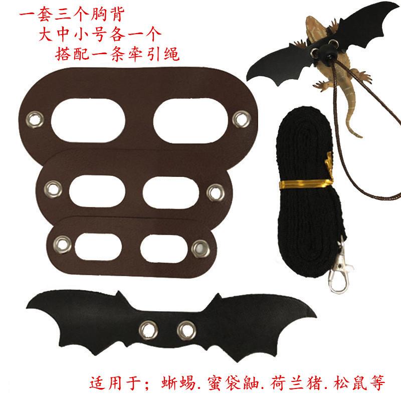 Product Introduction of 2025 Reptile Pet Lizard Leash with Wings Squirrel Harness Chinchilla Leash Green Gecko Lizard Guinea Pig Outdoor Leash 0