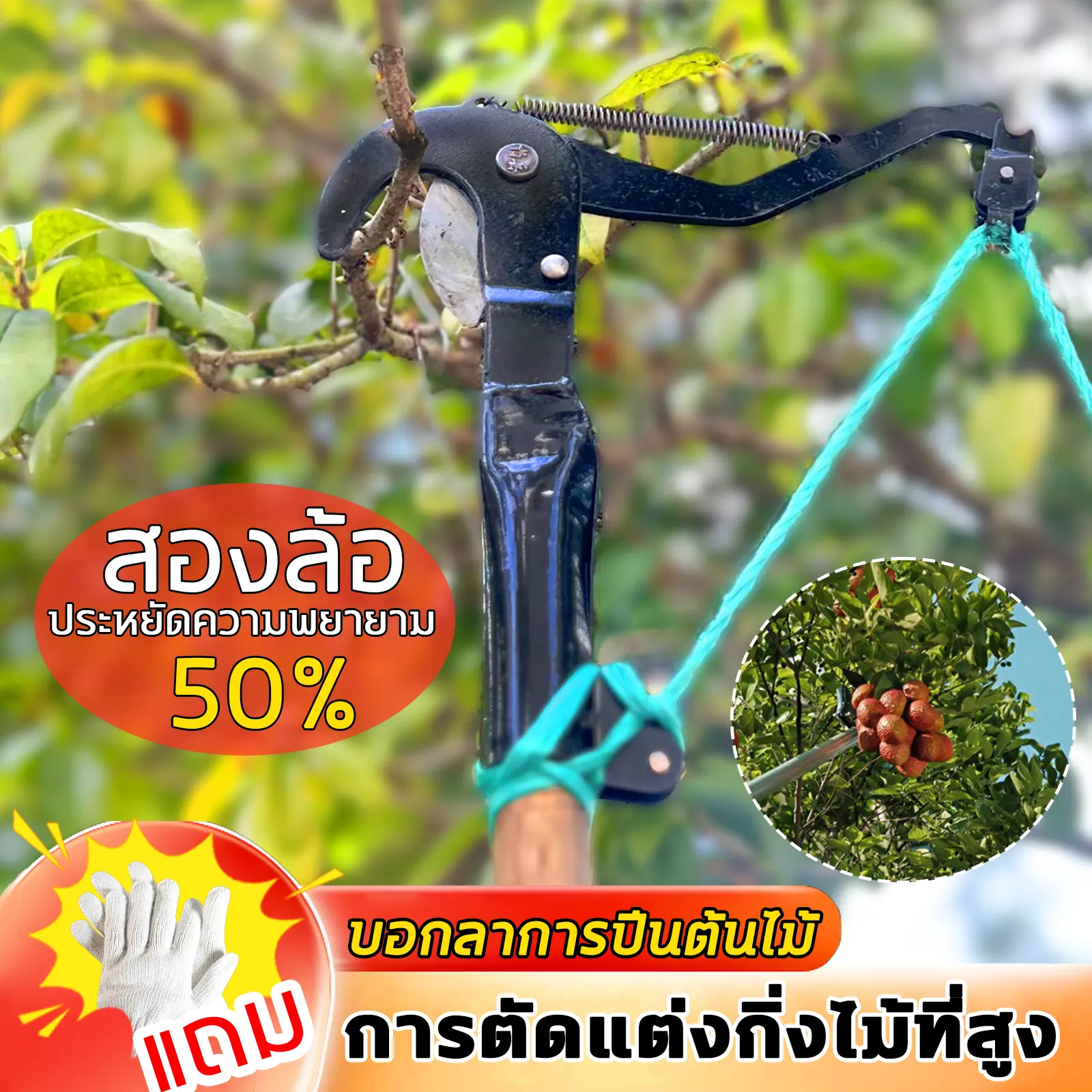 กรรไกรตัดกิ่งสูง เลื่อยตัดกิ่งไม้ กรรไกรตัดกิ่งไม้สูง เลื่อยกระตุกกิ่งไม้ ปรับระดับได้ มีรอกช่วยผ่อน กรรไกรตัดแต่งกิ่ง กรรไกรตัดกิ่งไม้ แบบเลื่อย เลื่อยตัดไม้  กรรไกรด้านสูง กรรไกรตัดกิ่ง กรรไกรตัดกิ่งไม้ กรรไกรตัดกิ่ง กรรไกรกระตุก  มีด  ตัดต้น
