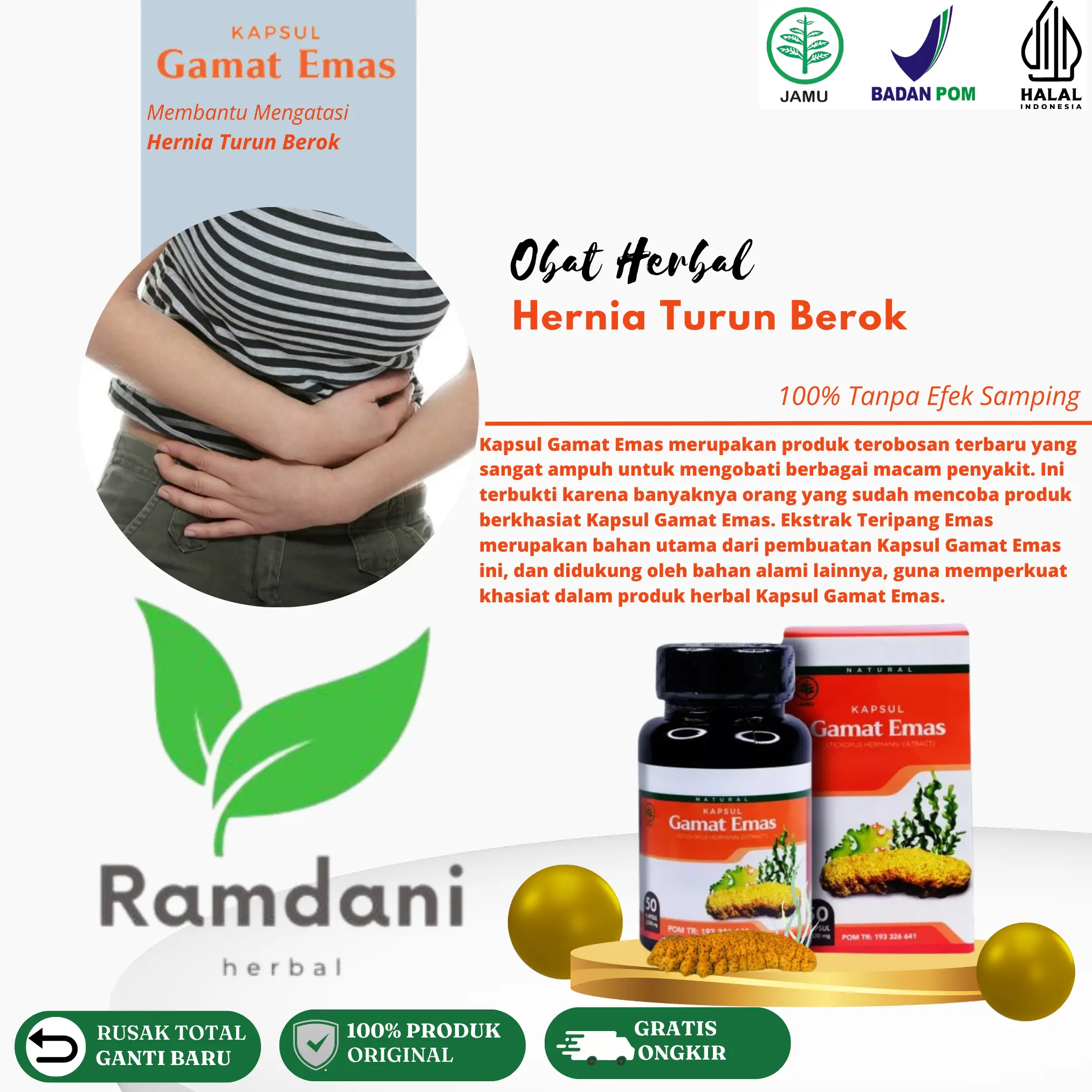 (Mutu Di Jamin) Gamat Emas Kapsul Hernia Turun Berok Peranakan V*rikokel Hidrokel Buah j4k4r B3ngkak Sebelah Untuk Anak dan Dewasa