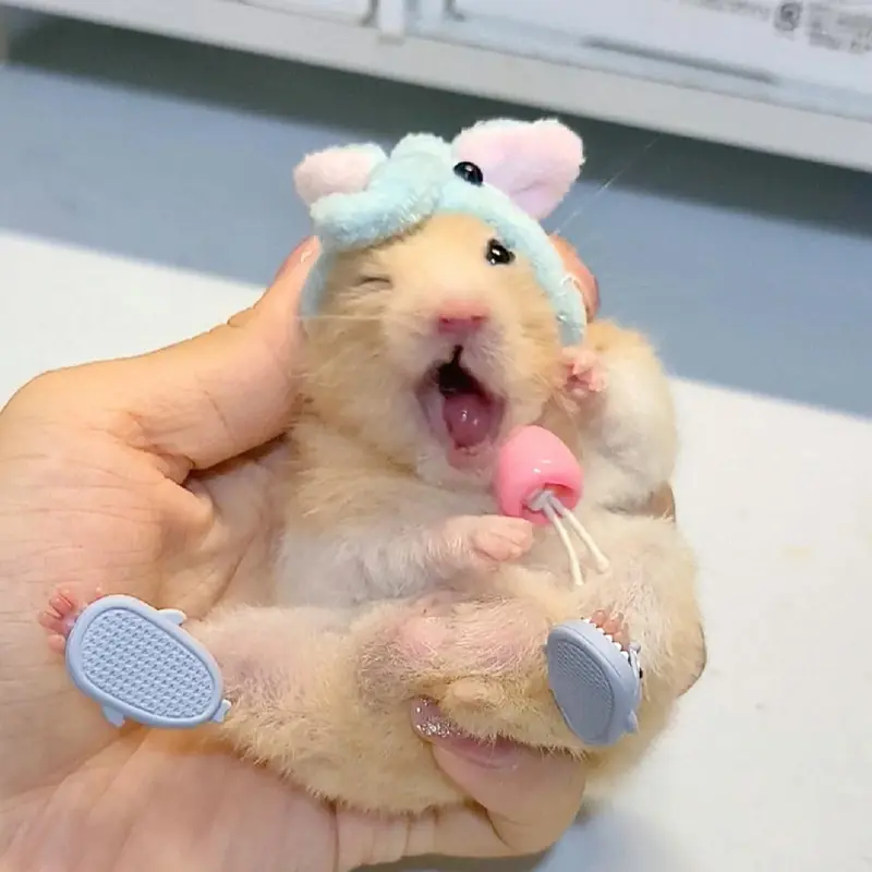 Dép Lê Mini Cho Chuột Hamster, Dép Cá Mập, Thiết Kế Hoạt Hình Dễ Thương, Đồ Trang Trí 2 * 1Cm, Thích Hợp Cho Thú Cưng Nhỏ J1Y0 0