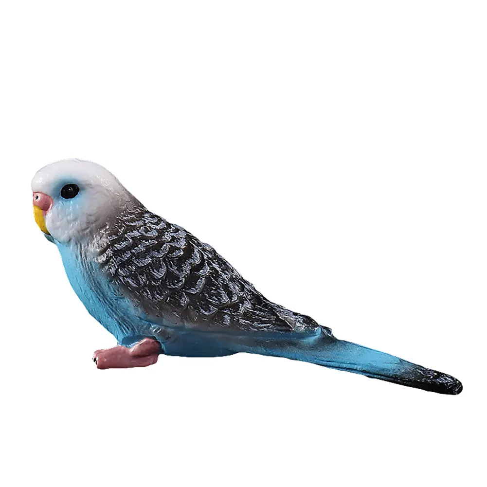 Dotuqck - การจำลองนกแก้ว Budgerigar นก โมเดลสัตว์ ของเล่น ตกแต่งงานฝีมือพลาสติก