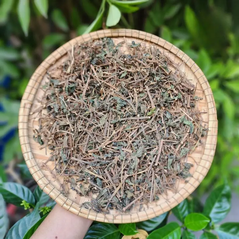 Cây Thuốc Dòi (Bọ Mắm Khô, Cỏ Dòi Tím) khô, sạch, thơm, đun uống rất ngon (1kg)
