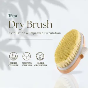 [ New ]Dry Brush Body Natural Terra Untuk Kesehatan Kulit (1 Pack)