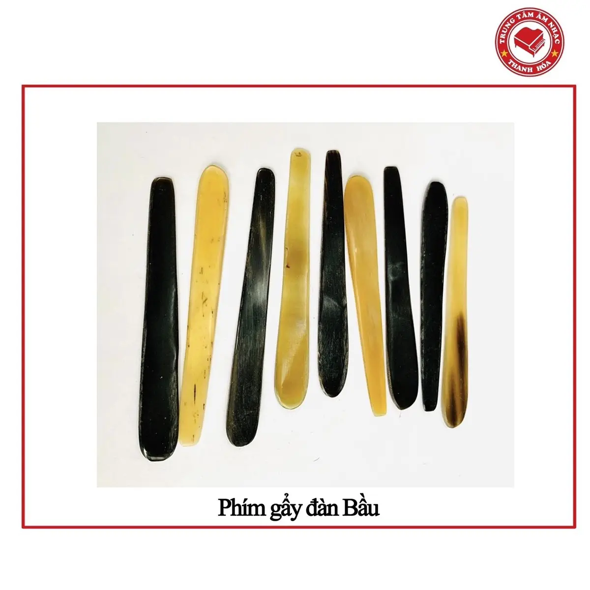 Phím gẩy đàn Bầu sừng trâu mài - que gẩy đàn Bầu