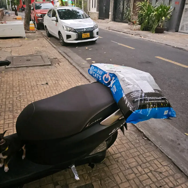 Hạt mèo CATON tải lớn 20KG 3