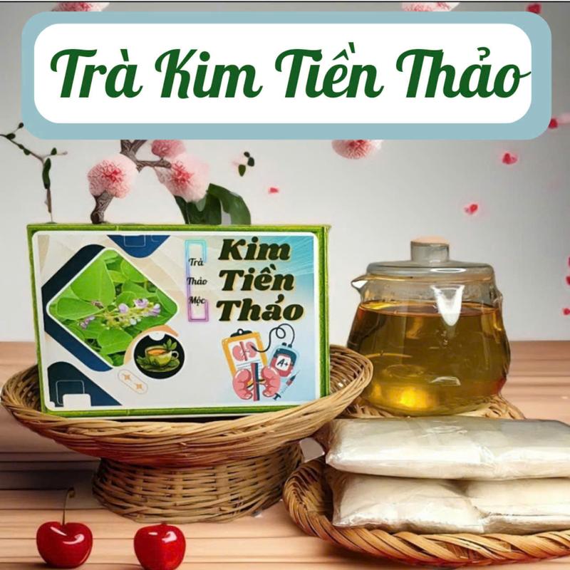 Trà Túi Lọc Kim Tiền Thảo - Sỏi Thận Nước Trà Tea ( 40 Túi Lọc /Hộp )