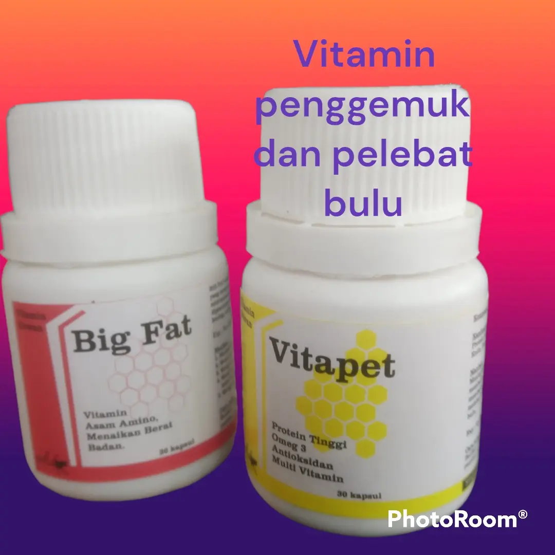 paket vitamin penggemuk dan pelebat bulu hewan kesayanganmu