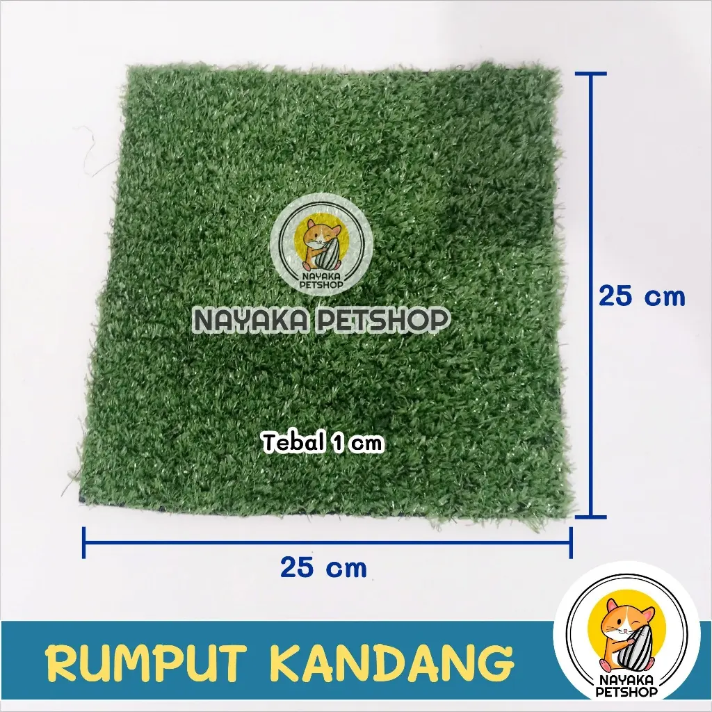 Rumput Swiss