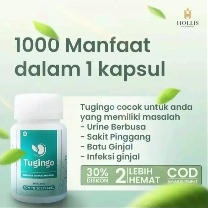 Tugingo Kapsul Herbal Atasi Batu Ginjal Melancarkan Urin