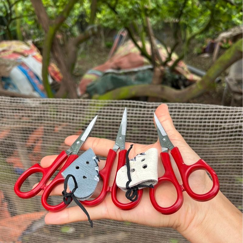 Kéo Lưỡi Cong Cắt Tỉa Làm Đẹp Cho Gà Tặng Bịt Mỏ