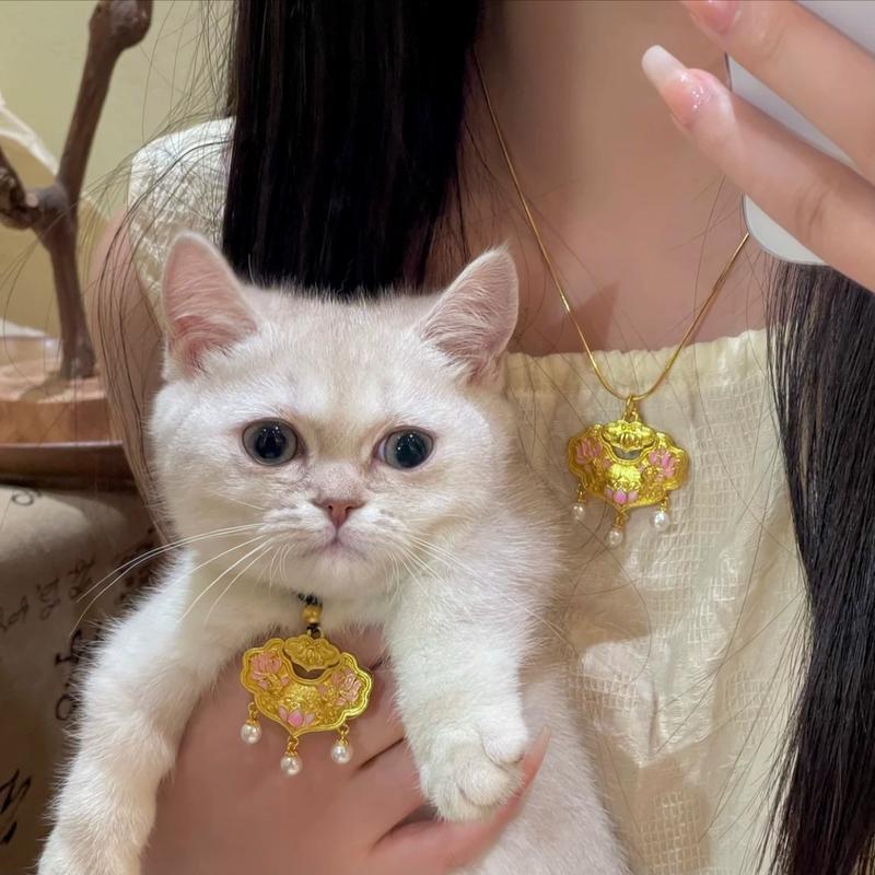 Product Introduction of Gold Shop Same Style Alluvial Gold 999 Pisces Koi Lock Necklace Safety Lock Powder Gold Plated Ruyi Huapai Lock Bag Pendant 7
