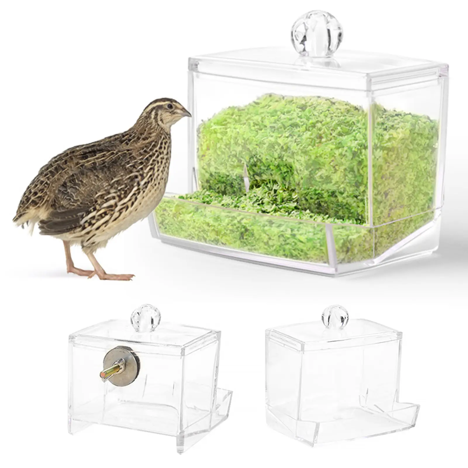 Chicken Feeder Large Capacity Solid Lightweight Transparent Stable Base Feeding Food Open Top Bird Supplies Cage Feeder for Farm