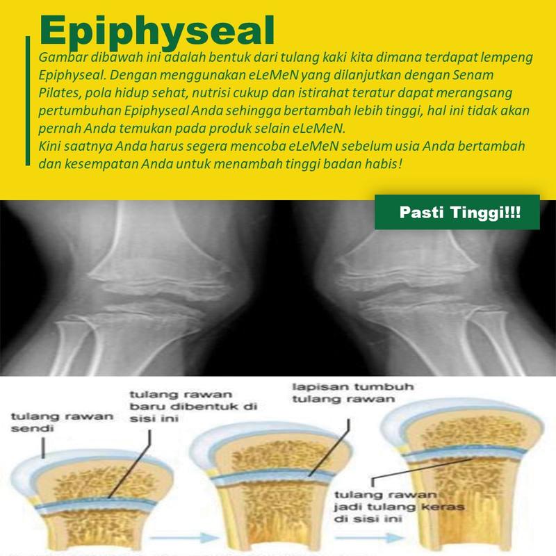 Alat Terapi Peninggi Badan eLeMeN Tambah Tinggi Badan Bantu Kamu Lulus Tes Polisi 7