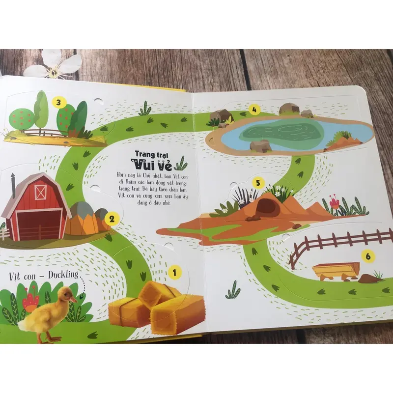 Sách Đinh Tị : Lift-The-Flap - Lật Mở Khám Phá: First 100 Animals - 100 Từ Đầu Tiên Về Các Loài Động Vật 2