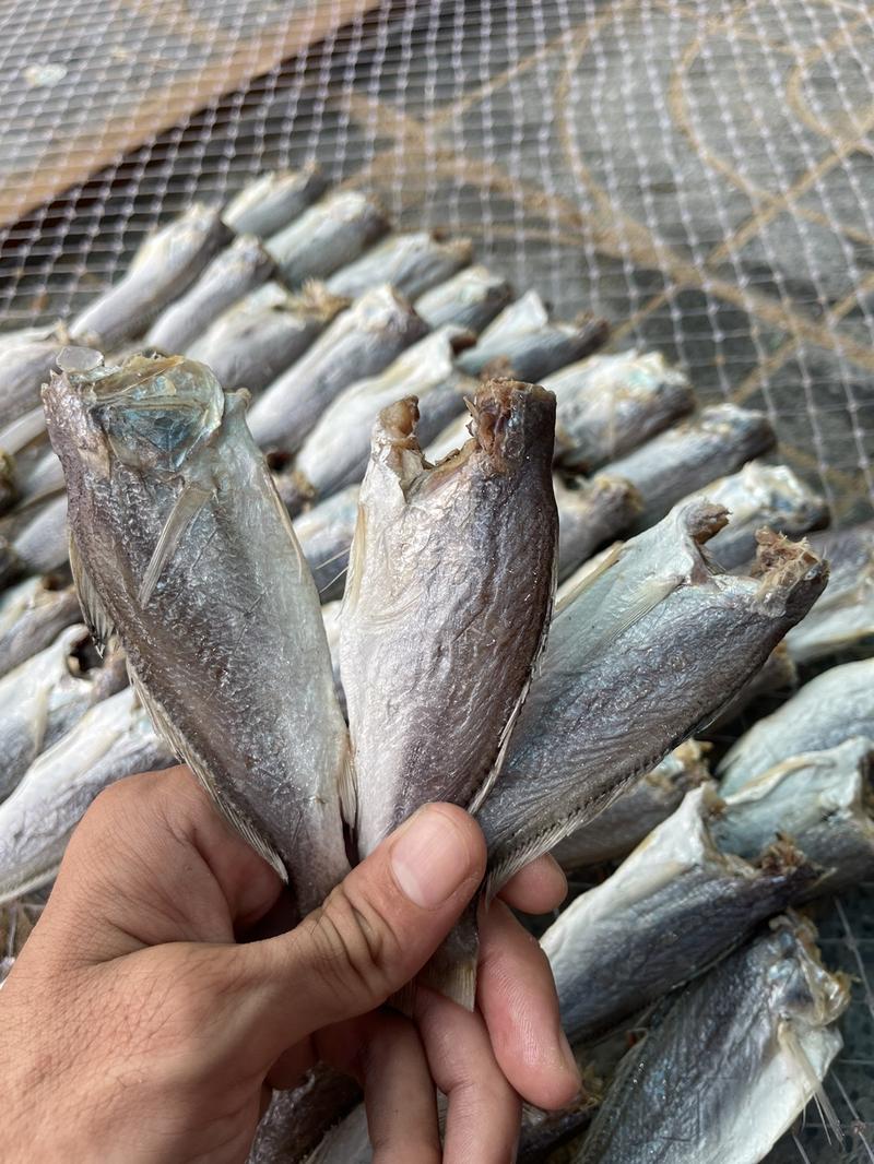 Product Introduction of 500.gram khô cá đù lớn vị mặn ăn cơm size 14-18 con Food (quý khách ăn lạc nên ngâm nước 30-40 phút trước khi chiên. 6