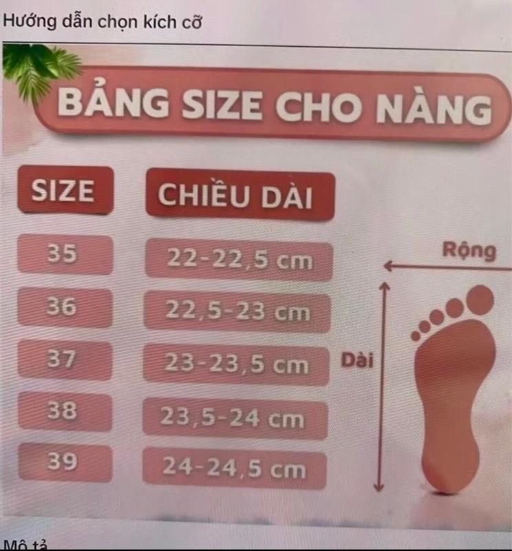 Product Introduction of Giày meca trong đính đá lấp lánh cao 5 phân 7 phân 0