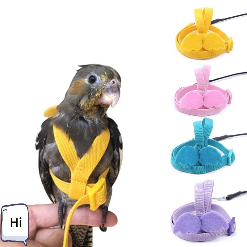 Product Introduction of Adjustable Outdoor Flight Training Rope Belt Parrot Traction Rope 17