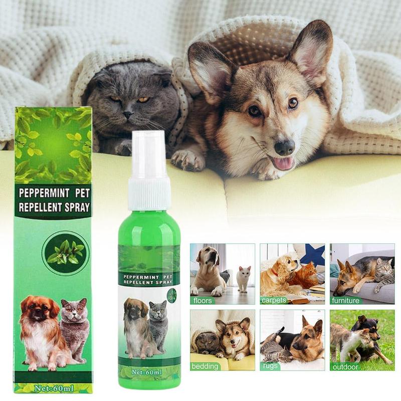 Stunning Flea Repellents For Cats On Vacation Trips image