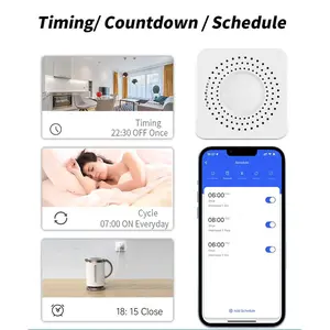 KAIGE Mini Smart Switch ZigBee WHD09-2 – 2 Channel 10A, Kontrol via Aplikasi & Suara, Timer Otomatis