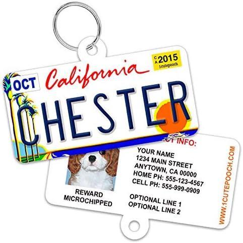 Dog id tags that look like license best sale