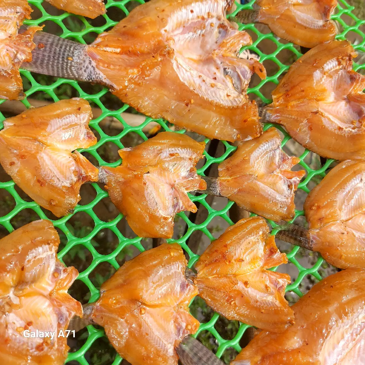 Khô Cá Phi Nhà Làm 500gr Xẻ Rút Xương Tẩm Vị Vừa Ăn Food  Ăn Vặt