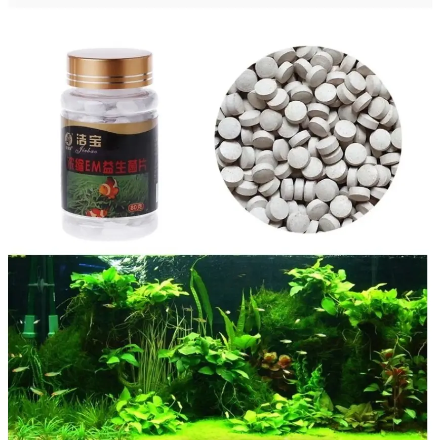 Men vi sinh dạng viên cho cá cảnh - Vi sinh đậm đặc giúp phân hủy chất thải, làm trong nước hồ cá. vi sinh  hồ cá