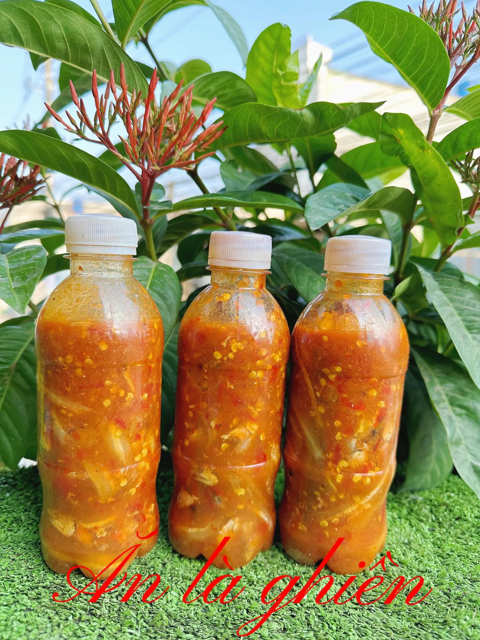 COMBO 3 CHAI MẮM CÁ CƠM đặc sản bình định (chai 380g) Gia Vị Nước Sốt