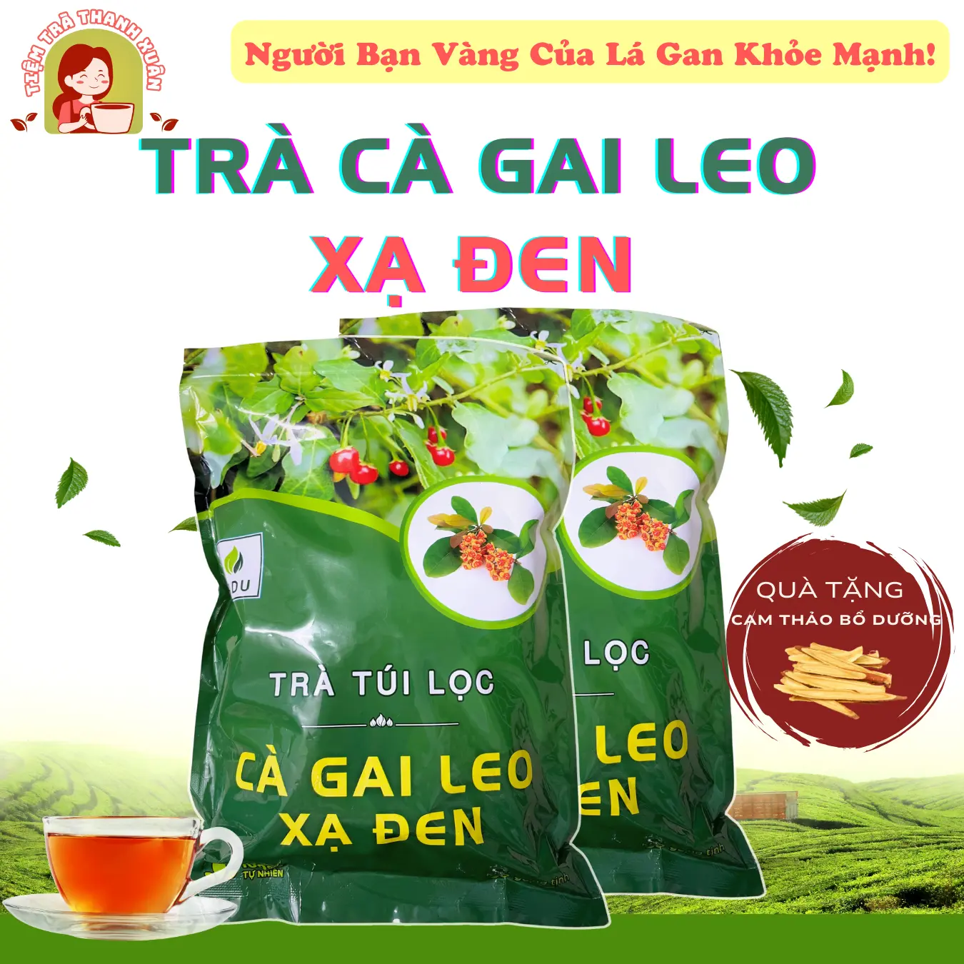 Trà Cà Gai Leo Xạ Đen SADU 500g (100 túi lọc) Hỗ Trợ Thanh Nhiệt Giải Độc Mát Gan - Nước Trà Tea Chè càgaileo Không Chua _