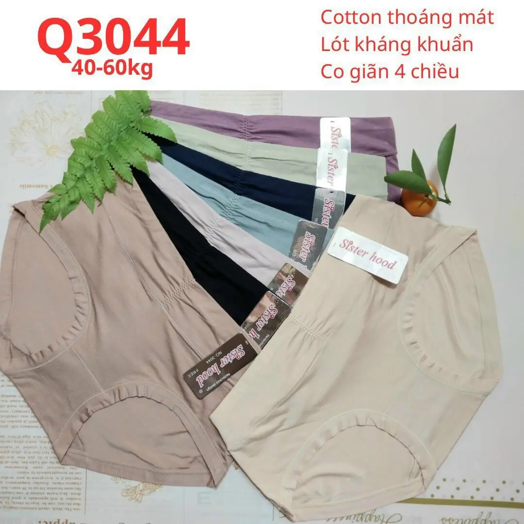 Sẳn kho Sll. Made in Thai Lan Quần Lót Thái Lan Cotton SISTERHOOD 3044 Size 40-60kg Màu da,ruốc,đen,xanh đậm,xanh nhạt,tím đậm,tím nhạt  Chất liệu Cotton mền mại, co giãn 4 chiều, thấm hút mồ hôi tuyệt đối - Cạp chun bản to nhún trước mề