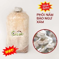 Trại nấm Chợ Đất