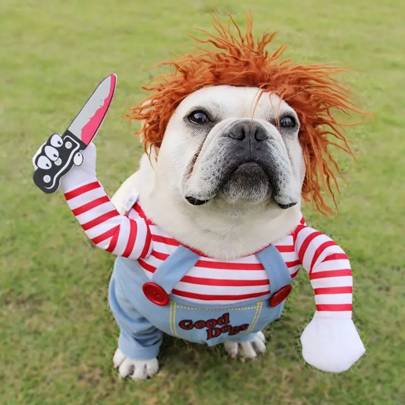 Quần Áo Cầm Dao Vui Nhộn Lễ Hội Chúa Thánh Thần Cho Thú Cưng, TikTok Bichon, Golden Retriever, Chó Mèo, Pomeranian, Shiba Inu, Corgi, Teddy, Với Giá Đỡ Dao, 20,25Món 8