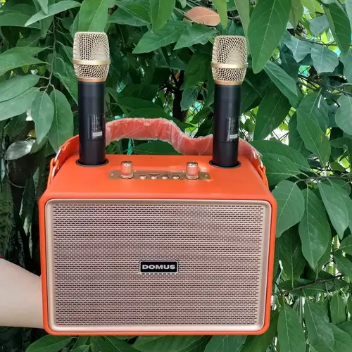 Loa karaoke dp86 kèm 2 mic không dây