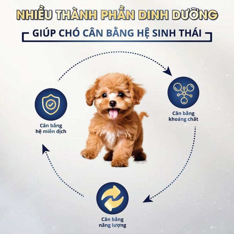 Thức ăn hạt cho Chó Mèo GOLD MIX MasterCare - Thực phẩm cung cấp dinh dưỡng cho chó kén ăn [DEAL SỐC] 3